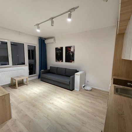 בוקרשט Treasure Luxury Apartment Palace מראה חיצוני תמונה